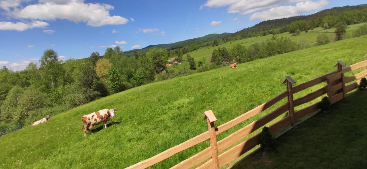 Goralskie Domki Na Podhalu - Z Jacuzzi Maniowy Bagian luar foto