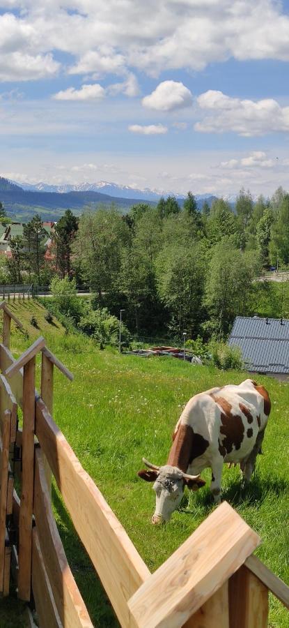 Goralskie Domki Na Podhalu - Z Jacuzzi Maniowy Bagian luar foto